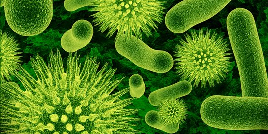 3 Jenis Bakteri Berbahaya yang Ada di Kamar Mandi Rumah, Perlu Diwaspadai