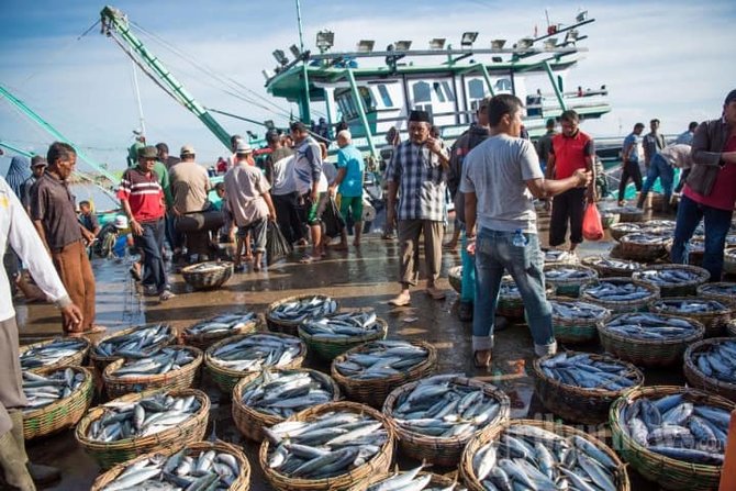 tempat pelelangan ikan tpi puger jember