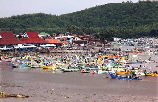 tempat pelelangan ikan tpi puger jember