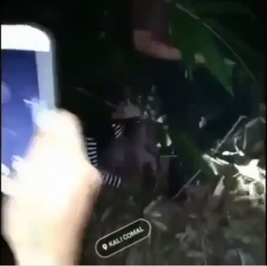 video muda mudi tertangkap 039wik wik039 di bawah pohon bambu