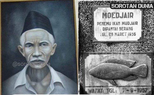 kisah inspiratif mbah moedjair penemu ikan mujair yang disegani pejabat belanda