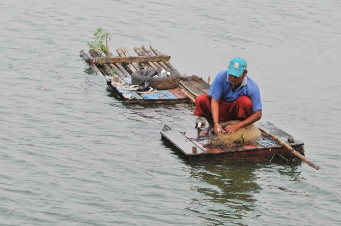 menjala ikan mujair di setu sasak