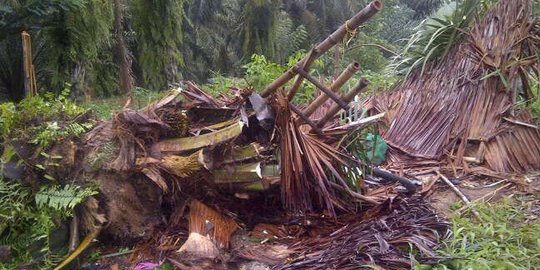 Angin Puting Beliung Terjang Deli Serdang, 56 Rumah Rusak