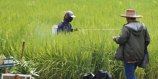 BUMN Berkolaborasi Bentuk Program Agro Solution untuk Tingkatkan Kesejahteraan Petani