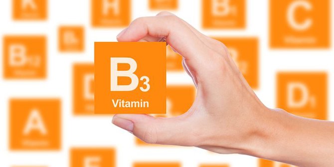 8 Fungsi Vitamin B Dan Manfaatnya Untuk Tubuh Manusia, Jaga Kesehatan ...