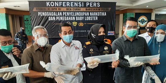 Palsukan Dokumen Ekspor, 14 Perusahaan Selundupkan Jutaan Benih Lobster