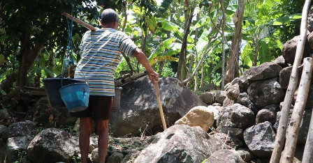 kisah mbah senen matanya tertusuk tanduk sapi