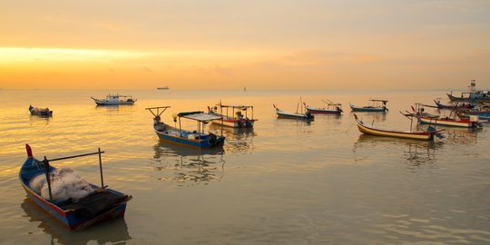 KKP dan DPR Sepakat Cabut Izin Eksportir Benih Lobster yang Salahi Aturan