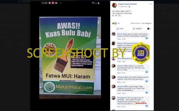 hoaks fatwa haram mui pada kuas bulu babi