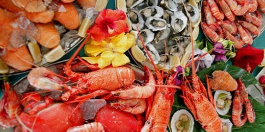 dan seafood rev1