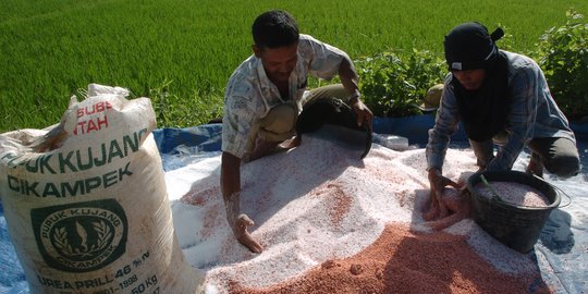 Jelang Musim Tanam, Stok Pupuk Subsidi Capai 1,78 Juta Ton