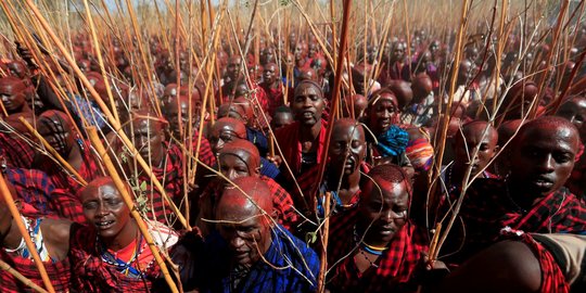 Melihat Ritual Menjadi Sesepuh Suku Maasai