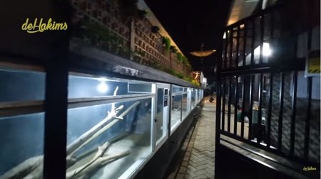 rumah panji petualang