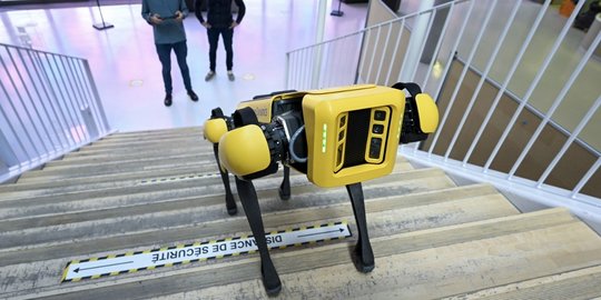 Mahasiswa Prancis Kembangan Robot Anjing untuk Industri