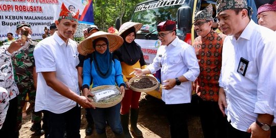 Banyuwangi Kembali Ekspor 600 Ton Kopi ke Eropa