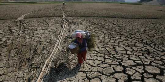 BPBD Sebut 9 Daerah di Ngawi Rawan Kekeringan