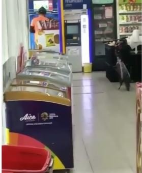 pria parkirkan sepeda di dalam minimarket