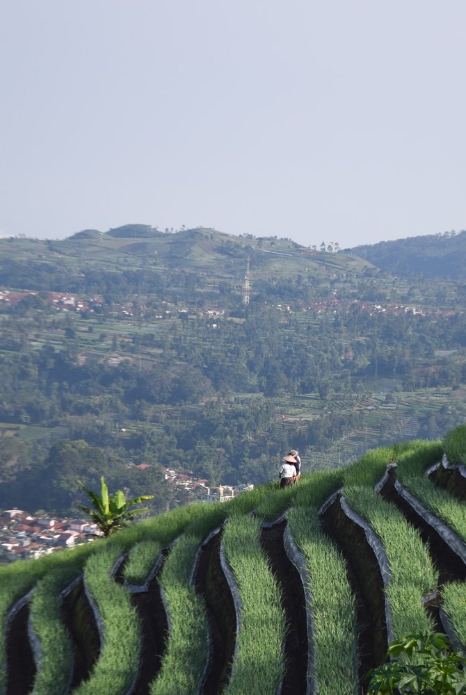 nepalnya majalengka