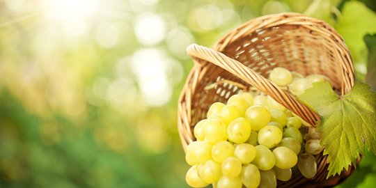 10 Manfaat Anggur Hijau bagi Kesehatan, Baik untuk Kulit dan Menurunkan Berat Badan
