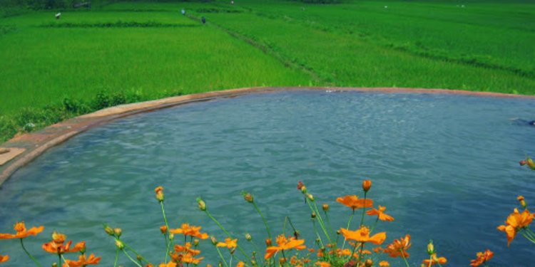 Hanya Ada 2 Di Dunia Ini Pesona Pemandian Air Soda Di Sumut Merdeka Com