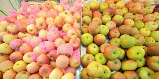 bintan bisa jadi pusat pasokan sayur dan buah ke singapura