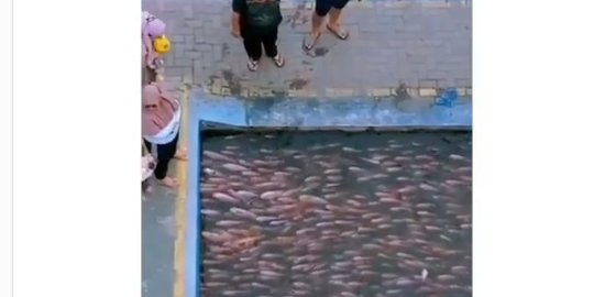 Selokan Kumuh di Jogja Kini Indah & Dipenuhi Ikan, Ini Potretnya Mirip di Luar Negeri