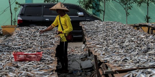 Sejumlah Permasalahan Sektor Perikanan Tanah Air