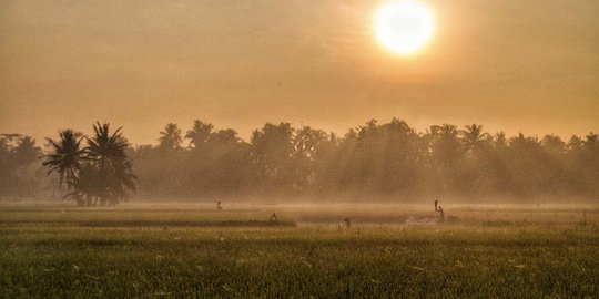 BPS: Nilai Tukar Petani September Naik Tipis