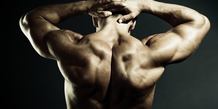 4 Cara Membentuk Otot Sayap Buat Bentuk Tubuh Semakin Atletis Merdeka Com