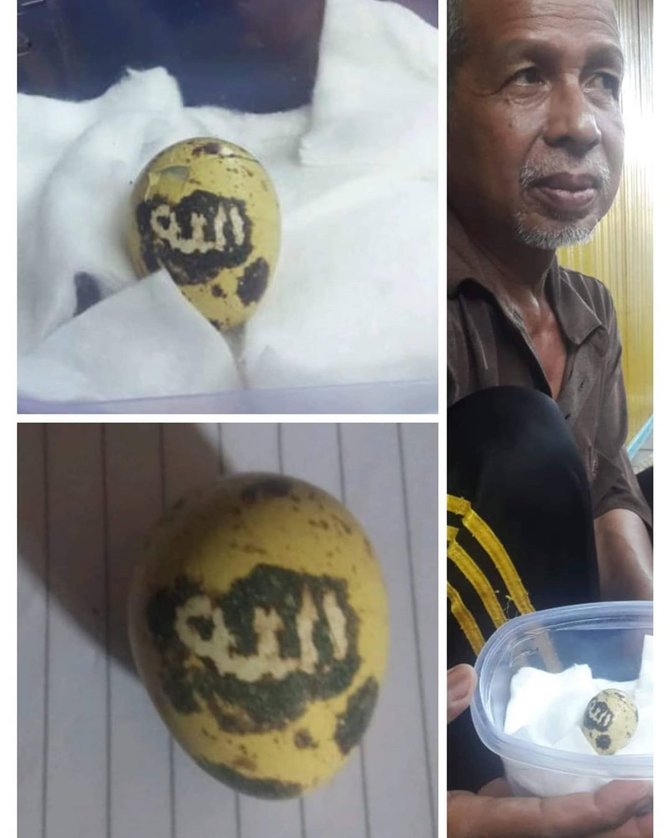 telur puyuh bertuliskan lafadz allah