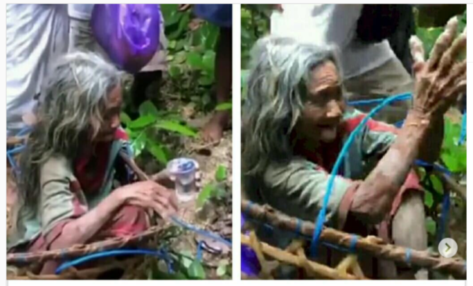 video viral penyelamatan nenek yang hilang di tebing hutan