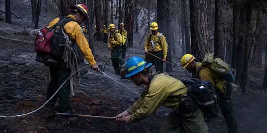 Saat Para Napi Bantu Padamkan Kebakaran Hutan di Oregon