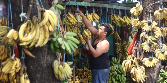 Penjualan Pisang Anjlok Akibat Hajatan Dilarang