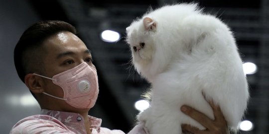 Tingkah Lucu Kucing di Cat Expo Malaysia