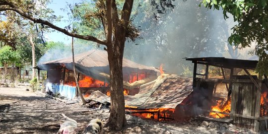 Kerusuhan Antar Warga di Kupang, Satu Orang Tewas dan Tujuh Rumah Dibakar