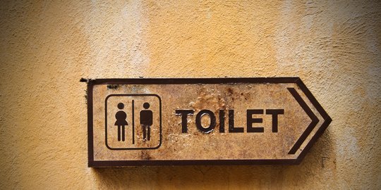 5 Bahaya Menggunakan Ponsel di Toilet, Salah Satunya dapat Sebabkan Wasir