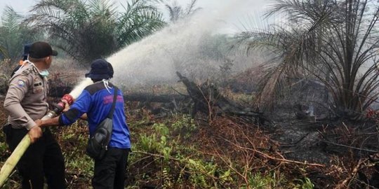 Pengusutan Kasus Kebakaran Lahan Dikritik, Ini Kata Aktivis Lingkungan