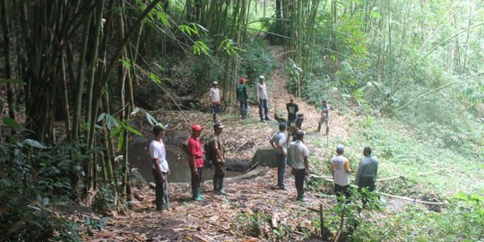 Perhutani dan Warga Kalipuro Kompak Lakukan Konservasi Bambu di Sumber Mata Air