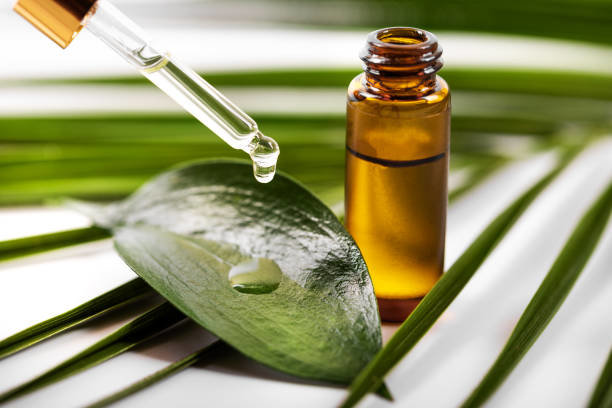 ilustrasi tea tree oil