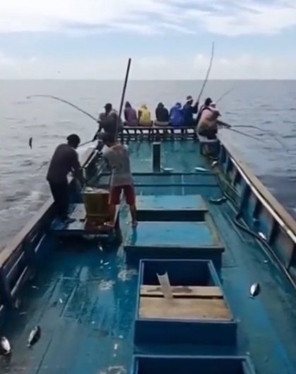 cara nelayan memancing ikan cakalang di laut