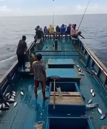 cara nelayan memancing ikan cakalang di laut