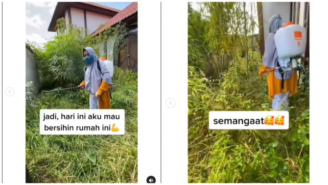 tak sangka menemukan ibunya yang meninggal di gmaps