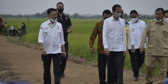 Hari Ini, Jokowi akan Tinjau Food Estate dan Bagikan Banpres di Kalteng
