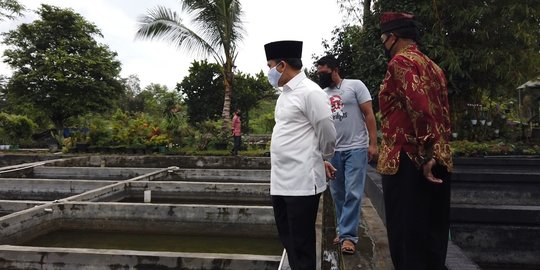 Masa Pandemi, Pengusaha Ikan Hias Koi di Banyuwangi Ini Omzetnya Naik 25 Persen