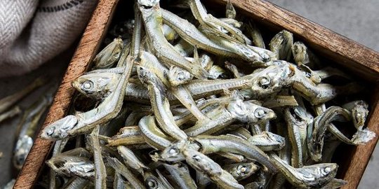 7 Resep Olahan Ikan Teri, Enak dan Mudah Dibuat