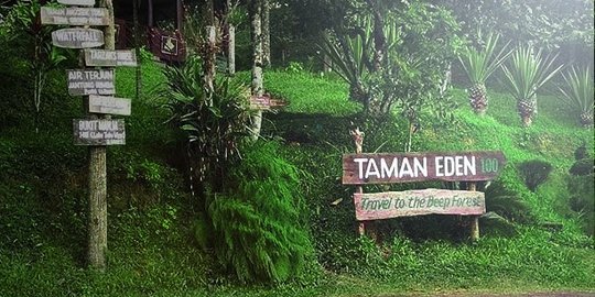 Ekowisata Paket Lengkap, Ini 4 Pesona Taman Eden 100 di Toba Samosir