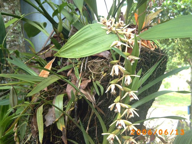 ekowisata paket lengkap ini 4 pesona taman eden
