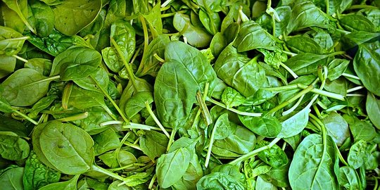 15 Jenis Makanan Penambah Stamina, Salah Satunya Sayuran Berdaun Hijau