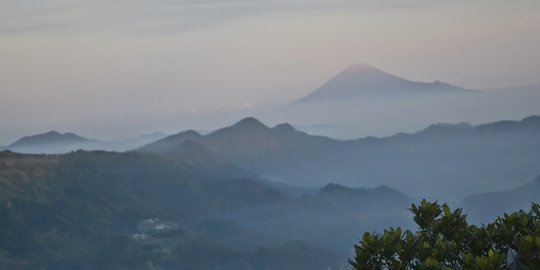 Mengunjungi Hutan Petungkriyono, Surga Alam Tersembunyi di Jawa Tengah