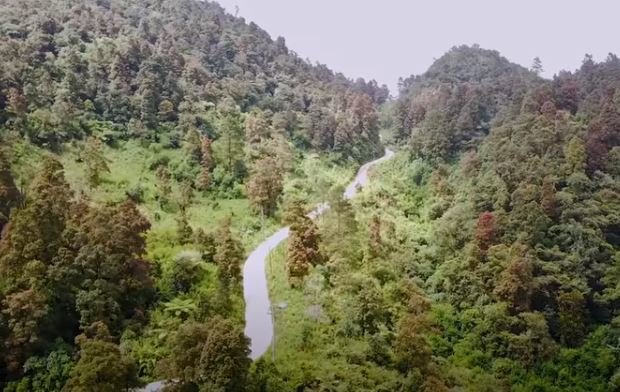 hutan petungkriyono